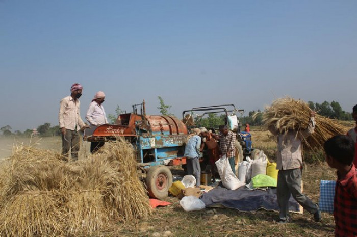 सल्यानमा थ्रेसरमा पर्दा दुवै हात काटियो