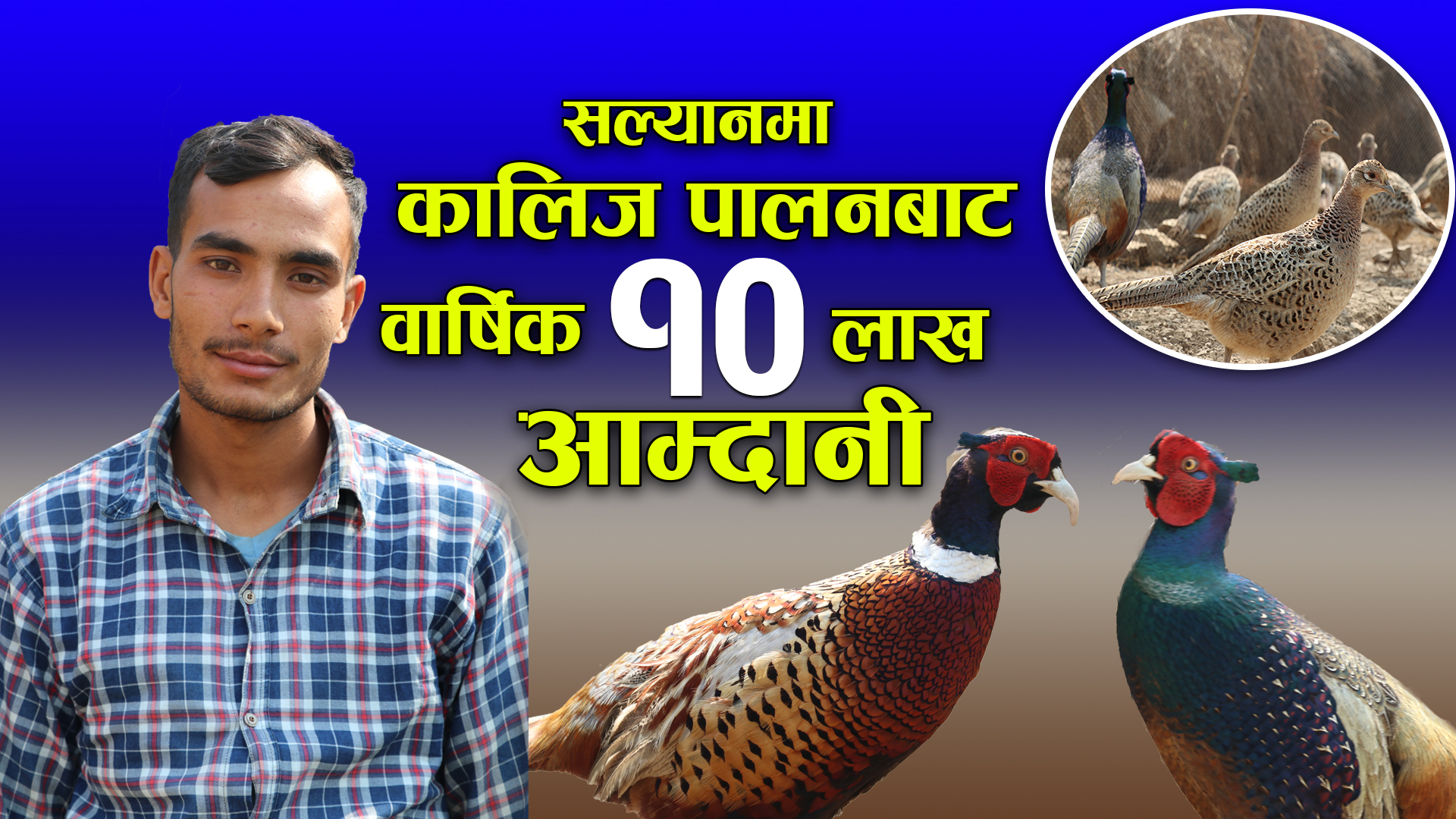 कालिज पालनबाट मनग्य आम्दानी गर्दै सल्यानका : मंगल सिंह