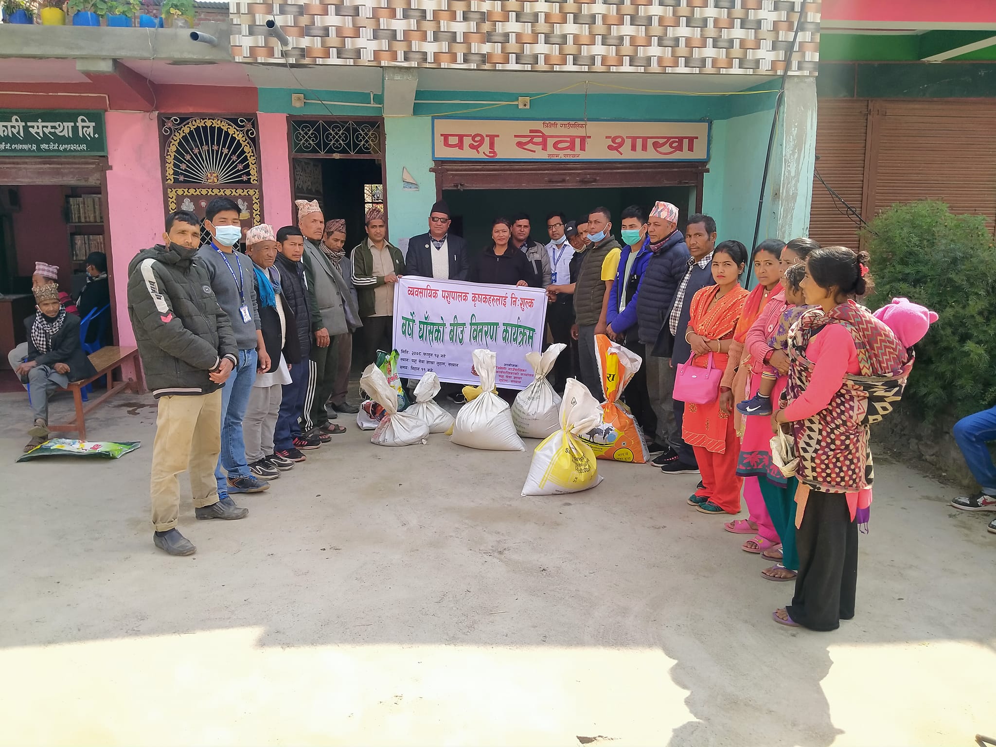 त्रिवेणी गाउँपालिकाद्धारा कृषकलाई वर्षे घाँसको बिउ वितरण