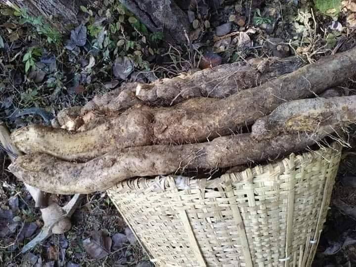 सल्यानमा तरुल खन्ने क्रममा ढुंगा पल्टाउदा एक जनाको मृत्यु